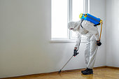Exterminator in work spraying pesticide or insecticide with sprayer