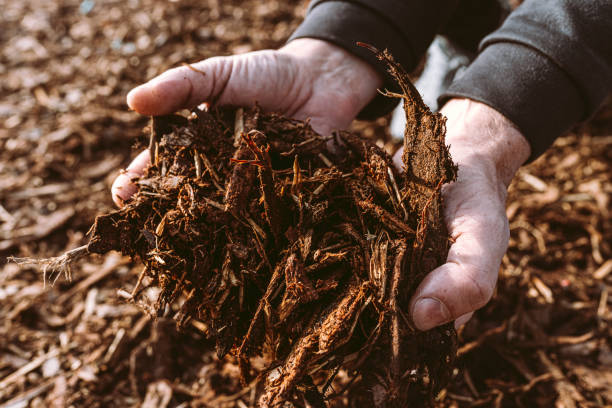 istock Use of recycled organic waste 1459022163