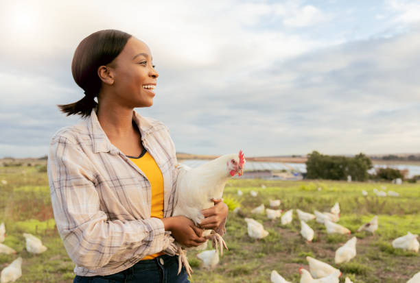 mujer negra, granja de pollos y feliz con la pequeña empresa, el crecimiento y el desarrollo de la agricultura al aire libre en la naturaleza. agricultor, ganadería y agricultura sostenible con sonrisa y trabajando en aves de corral rurales - africa farmer african descent agriculture fotografías e imágenes de stock