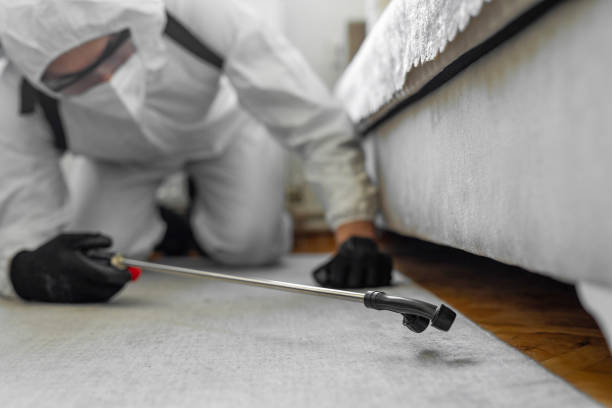 homme dans le costume protecteur désinfectant et pulvérisant chaque pièce dans le bâtiment - worker termite photos et images de collection