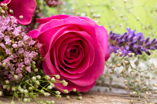 Pink roses and lavender flower arrangement stock photo