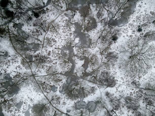 istock Overhead birds eye view Aerial frozen winters  Epping forest 1459025748