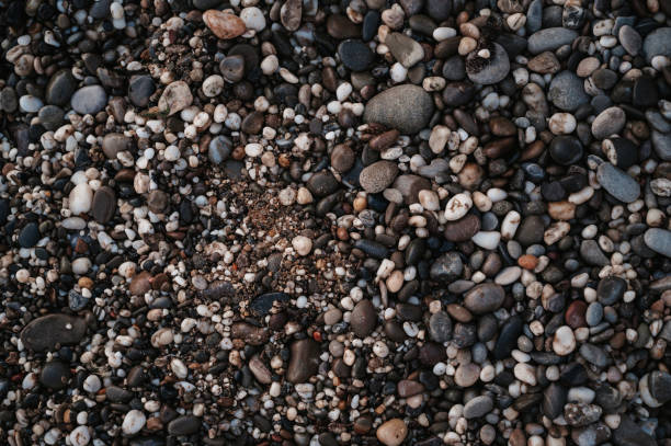 istock Smooth background with a texture of different sizes of pebbles. Pebble beach. Close-up. 1459027510