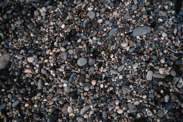 istock Smooth background with a texture of different sizes of pebbles. Pebble beach. Close-up. 1459027614