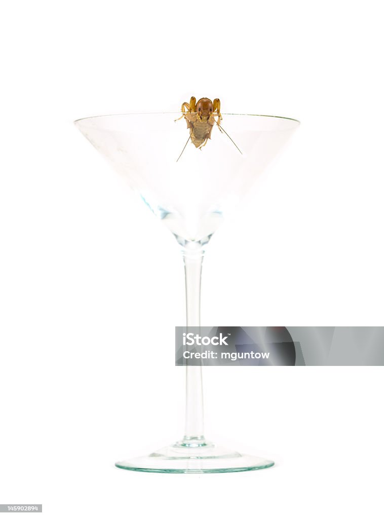 Insetto in Bicchiere da Martini - Foto stock royalty-free di Alchol