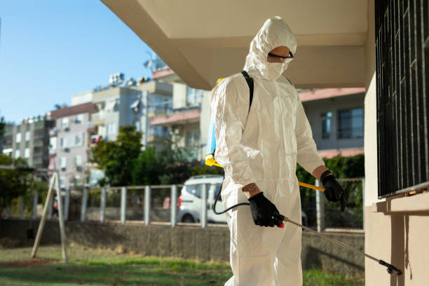 istock A disinfector in a protective suit and mask sprays disinfectants in house. 1459030780