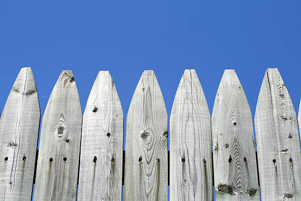 istock Wooden fence 145903290
