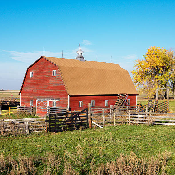 istock Farmhouse landscape. 145903293