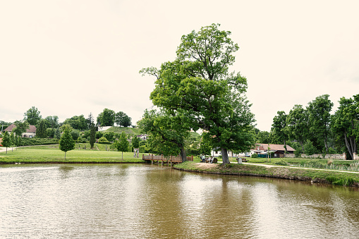 Wooden bridge on pond in Panska Garden,  Kunstat in Moravia, Czech Republic.