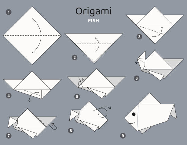 illustrazioni stock, clip art, cartoni animati e icone di tendenza di schema di origami di pesce tutorial. elementi origami isolati su sfondo grigio. origami per bambini. passo dopo passo come fare origami fish. - animal scale fish silver backgrounds