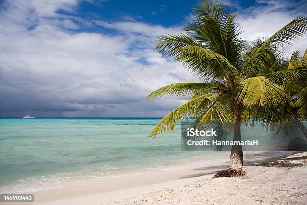 Tropical Plaża - zdjęcia stockowe i więcej obrazów Bez ludzi - Bez ludzi, Chmura, Drzewo