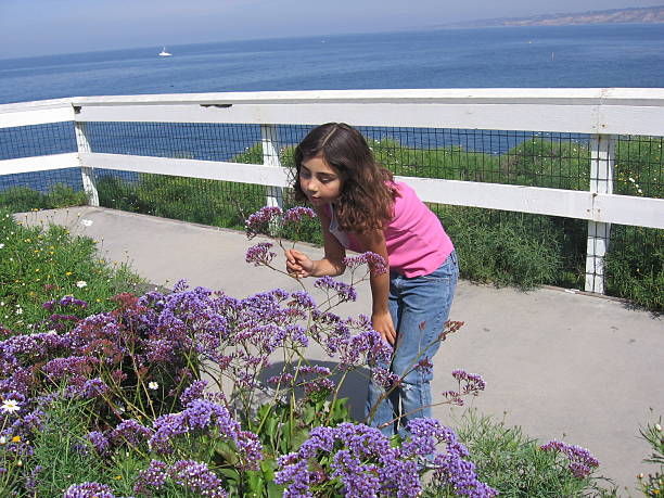 Spring is everywhere... stock photo