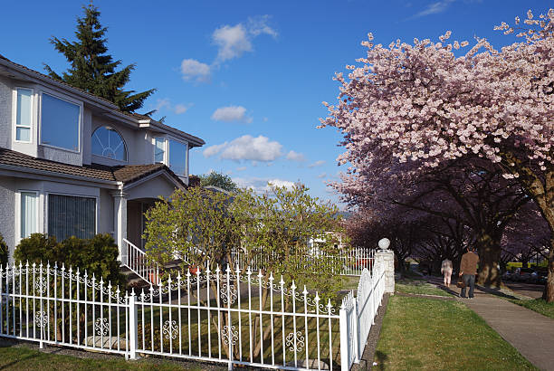 istock cherry blossom and house 145903595