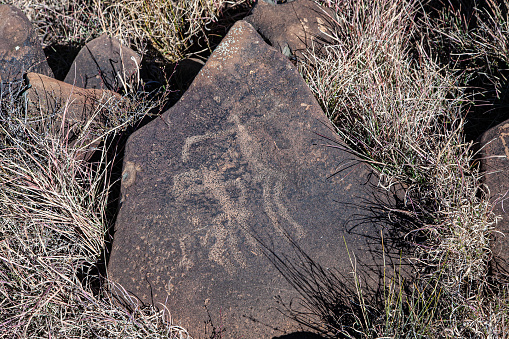 Petroglyph of shamans (medicine men) performing a trance dance. Wildebeest Kuil is a rocky hill not far from Kimberley/Barkley West in the Northern Cape Province. At this rocky hill more than 200 petroglyphs depicting representational and abstract images can be found. The creators were people from San and Khoe origin.