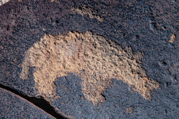 istock SOUTH AFRICAN PETROGLYPHS: WILDEBEEST KUIL 1459037396