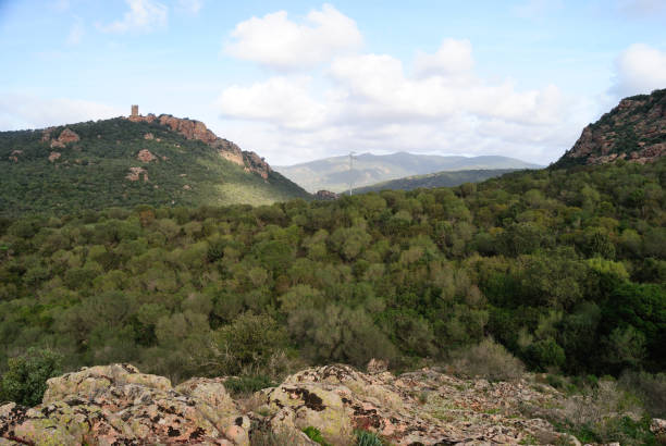 istock View of Castel Doria tower from Monte Ruju 1459037478