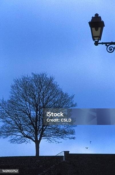 Árbol Solitario En Cielo Azul Foto de stock y más banco de imágenes de Aire libre - Aire libre, Aislado, Ajardinado