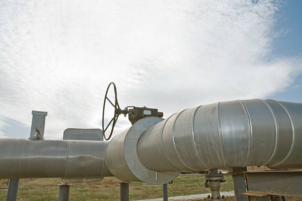 istock Gasoline in summer day 145904054