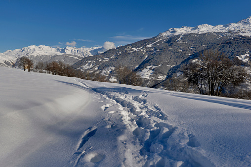 tracks on the snow from hikers with beautiful view on snowcapped mountain under blue sky