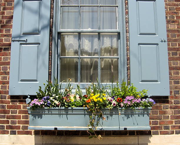 istock city window box filled with spring flowers 145904557