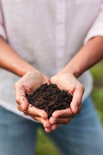 Hands holding soil on green background. Growth, nature, love of earth simbol.