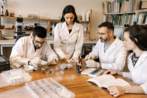 istock Group of students working at the laboratory 1459045849