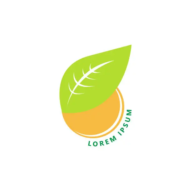 Vector illustration of Orange fruit with leaf  logo illustration design Free vector