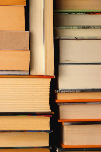 istock Big Pile of Books 1459051448