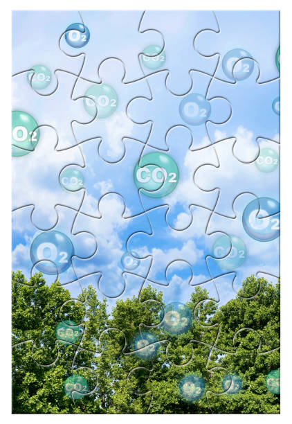 istock Tree canopy against a sky background with oxygen O2 and carbon dioxide CO2 molecules - Carbon dioxide absorption and oxygen release concept in jigsaw puzzle shape 1459052731