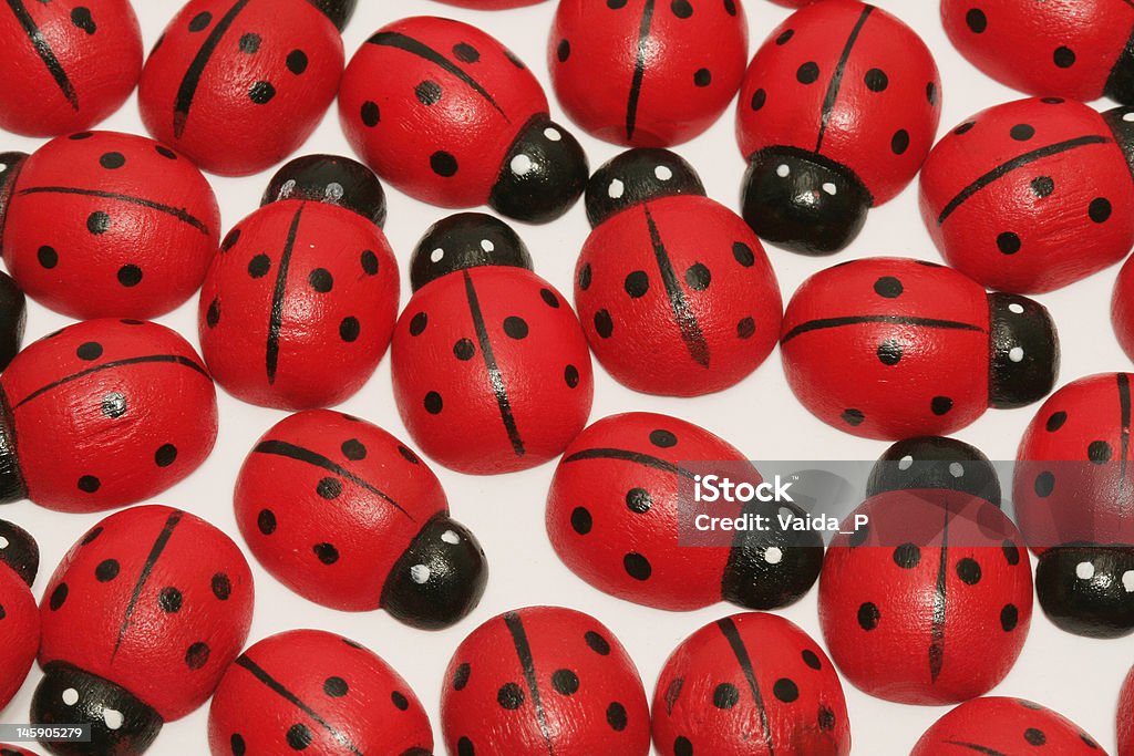 Ladybugs - Foto de stock de Amistad libre de derechos