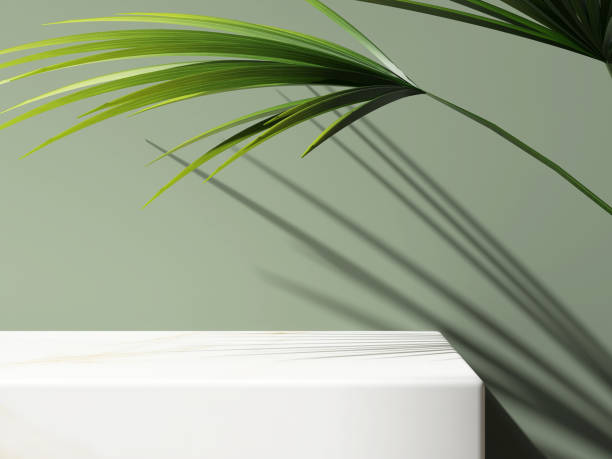istock Modern minimal empty white marble stone counter table top, palm tree in sunlight, leaf shadow on matte green wall 1459053006