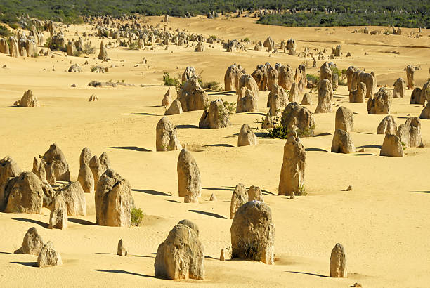pinnacles пустыня - australia desert pinnacle stone стоковые фото и изображения