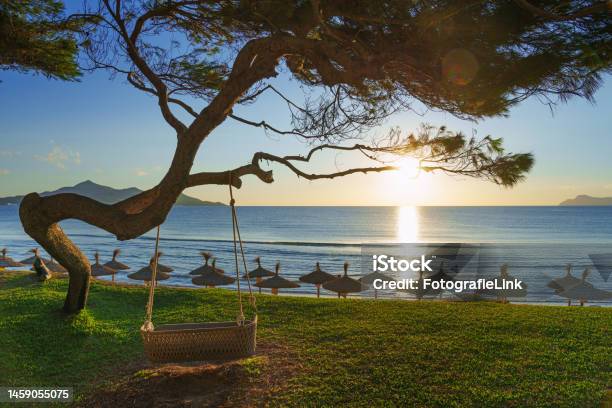 Beautiful Scenery Of Mallorca Alcúdia A Tropical Paradise In Mallorca At Sunset Stock Photo - Download Image Now