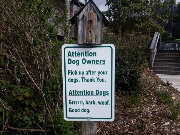 istock attention dog owners funny humorous sign pick up 1459057207