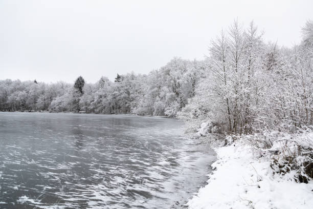 istock The Willgaiten lake in the winter 1459059040
