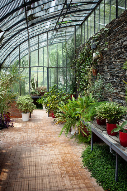 istock Potted plants in the veranda 1459059714