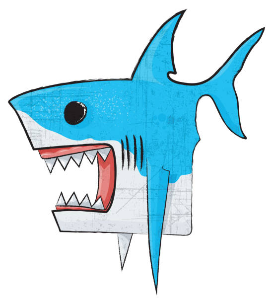 Great White Shark vector art illustration