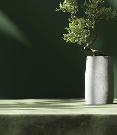 Table countertop with dark green velvet cloth, gray concrete vase beautiful Japanese bonsai in sunlight on blank wall for luxury organic cosmetic, skin care, beauty treatment product display 3D