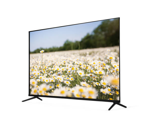 moderner breitbild-tv-monitor, der schöne kamillenblüten im feld isoliert auf weiß zeigt - breitwand stock-fotos und bilder