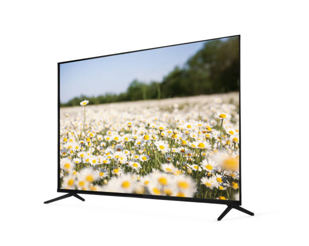 Modern wide screen TV monitor showing beautiful chamomile flowers in field isolated on white Modern wide screen TV monitor showing beautiful chamomile flowers in field isolated on white wide screen stock pictures, royalty-free photos & images