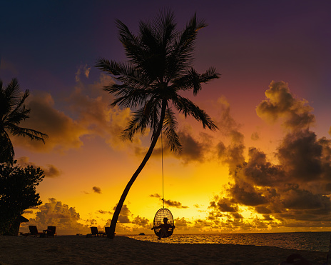 Palm and tropical beach at the ocean. Woman in hammock at beautiful sunset.