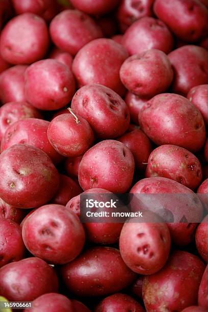 Red Ziemniaki - zdjęcia stockowe i więcej obrazów Czerwony ziemniak - Czerwony ziemniak, Bez ludzi, Czerwony