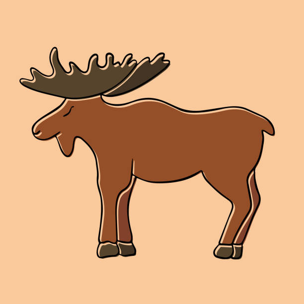Moose. Vector isolated illustration of moose with outline. how to draw a moose drawing stock illustrations