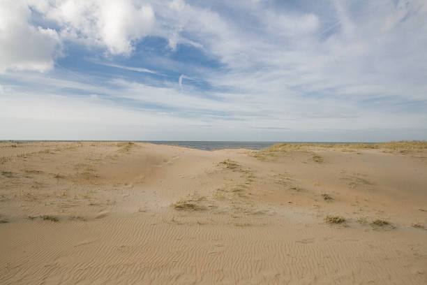 Dutch Dunes a Scheveningen - foto de stock