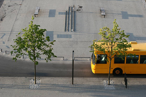 bus stock photo