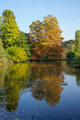 London, United Kingdom - October 27, 2013: Pond with ducks and Museum No 1 in the Royal Botanic Gardens (Kew Gardens, London, UK).