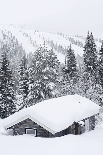 Old cabin in winter landscape stock photo