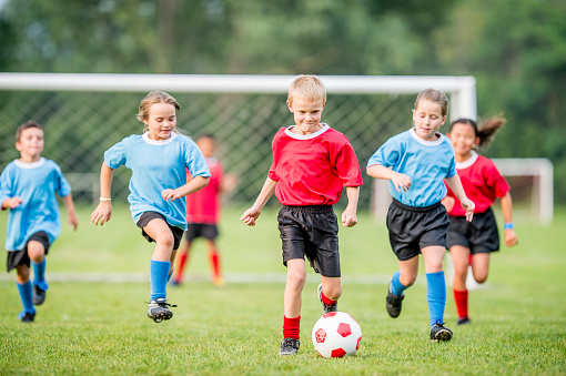 A group of school aged children play a game of soccer on a sunny summer day.  A red and blue team are playing each other as they run and work together to score.