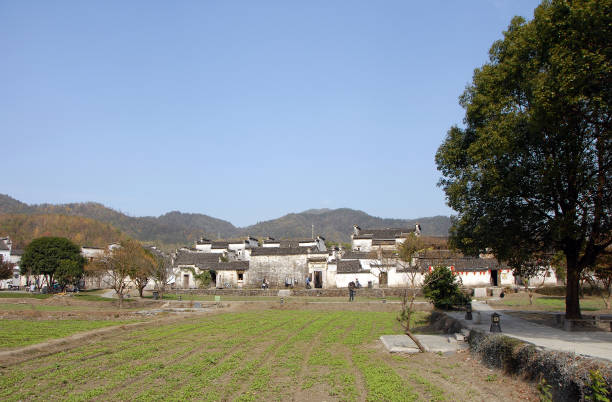 Xidi Ancient Town in Anhui Province, China. Looking over fields on the edge of the town with the buildings of the old town behind