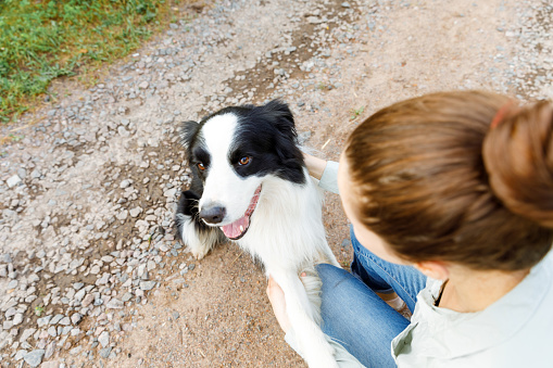 Smiling young attractive woman playing with cute puppy dog border collie on summer outdoor background. Girl holding embracing hugging dog friend. Pet care and animals concept